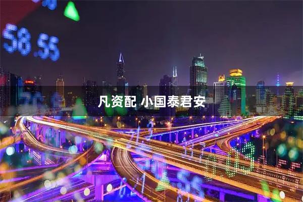 凡资配 小国泰君安