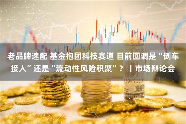 老品牌速配 基金抱团科技赛道 目前回调是“倒车接人”还是“流动性风险积聚”？丨市场辩论会